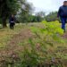 Preparan la competencia Plantatón 2024
