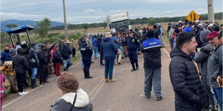 PRODUCTORES DE PAPA PIDEN SEMILLAS