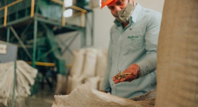 Ley 60/90: US$ 160 millones de inversiones y más de 1.000 puestos de trabajo al cierre de junio