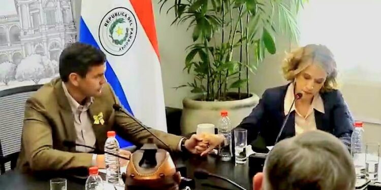 Lea Giménez asumirá como asesora de presidencia en la CAF