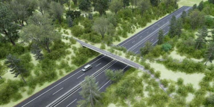 Paraguay contará con el primer paso de fauna elevado en el Corredor Metropolitano del Este