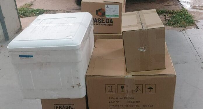 IPS recibe oncológicos pediátricos del INCAN hasta concluir licitación de medicamentos en marcha