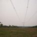 ANDE realiza limpieza de franja de servidumbre bajo líneas de transmisión de 500 kV