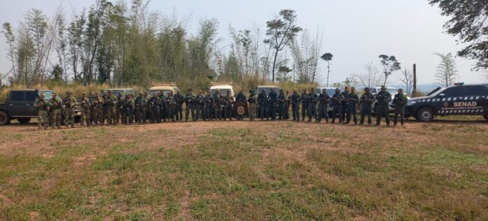 Operación «Basalto III» cierra con un golpe de US$ 13,3 millones a traficantes de marihuana en Canindeyú