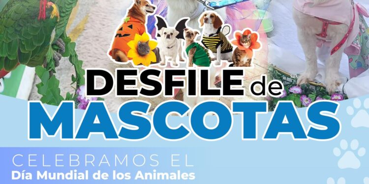 Desfile de mascotas será el sabádo 5 de octubre en Villarrica