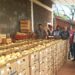 SENAVE CERTIFICÓ PRODUCCIÓN DE CEBOLLA DEL SEÑOR CIRILO ACUÑA EN LA COLMENA