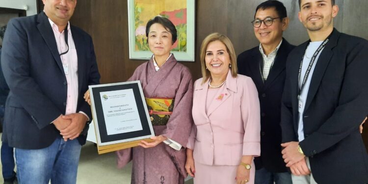 MUNICIPALIDAD RECIBIÓ 570 MILLONES DE JAPÓN PARA CONSTRUIR EMPEDRADO
