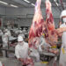 ¿A dónde va la carne paraguaya? Senacsa socializa informe de exportaciones en lo que va del año