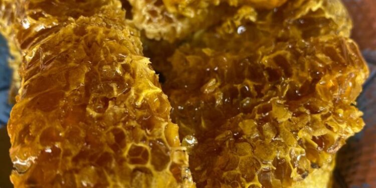 Promueven registro formal de la “Miel de Abeja de los Humedales de Ñeembucú” para potenciar su valor