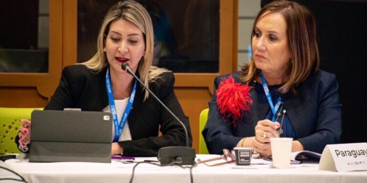 Ratifican compromiso de Paraguay con la formalización laboral en Cumbre Ministerial de la OCDE