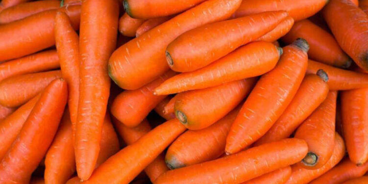 Productores de Itapúa continúan con exportación de zanahoria para el mercado argentino