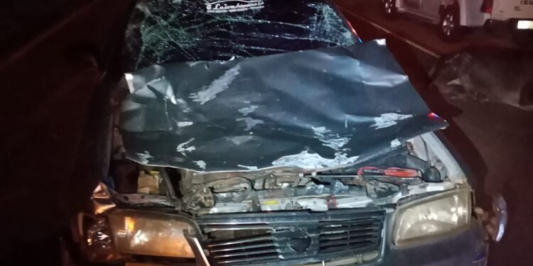 Automóvil chocó contra un toro en Itaybu