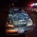 Automóvil chocó contra un toro en Itaybu