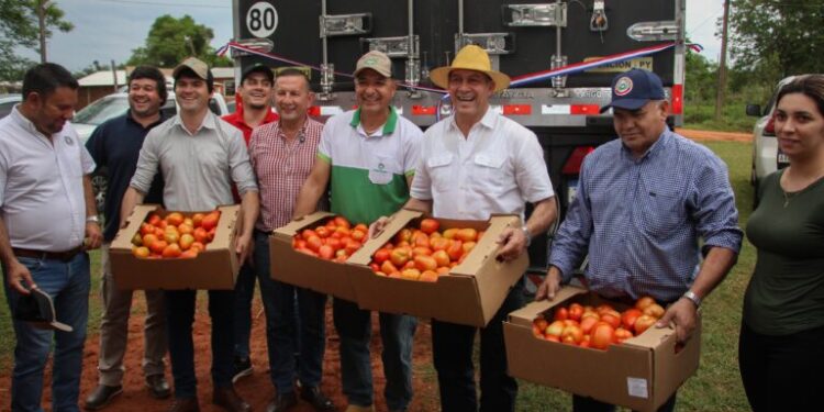 Paraguay ya exportó más de 1.100.000 kg de tomate a Argentina
