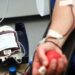 Donación de sangre: lanzarán campaña “Un Regalo de Navidad”