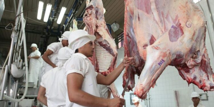 Noviembre cierra con las mejores cifras de exportación bovina según registros del Senacsa