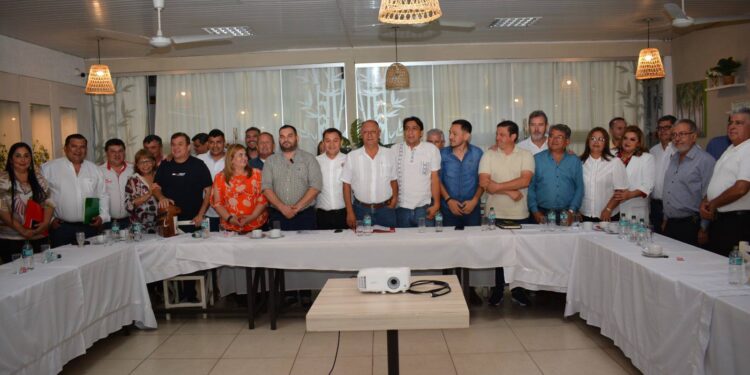 Intendentes están de acuerdo con unificar sistema para pago de patente de rodados, pero no con los costos
