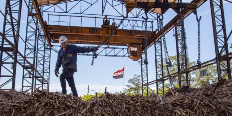 Paraguay logra convertirse en miembro fundador pleno de la alianza global de biocombustibles