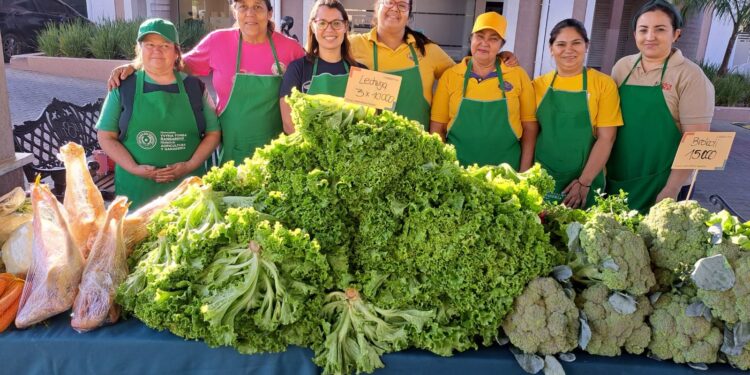 Más de G. 76.000 millones de recaudación en ferias de la agricultura familiar en el 2024