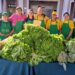 Más de G. 76.000 millones de recaudación en ferias de la agricultura familiar en el 2024