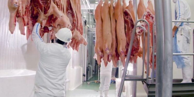 Exportación de carne porcina a Taiwán con crecimiento del 108%