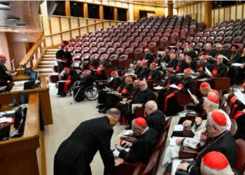Realizaron la primera Congregación General de los Cardenales en el Vaticano
