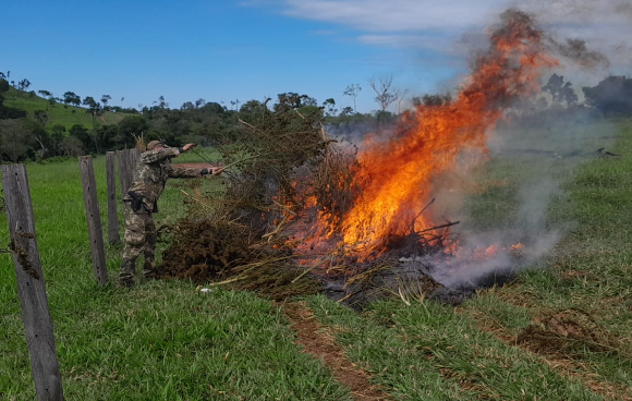 Brasil y Paraguay retoman programa «Alianza 49», de lucha contra las drogas