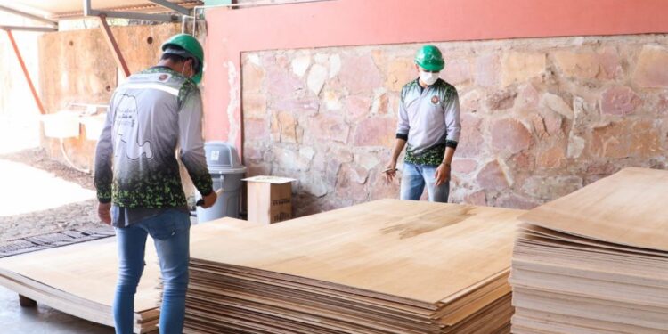 Paraguay establece un nuevo récord en la exportación de productos forestales