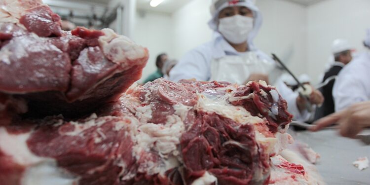 Apertura del mercado de Singapur para las carnes bovina, porcina y avícola