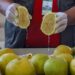 Gobierno celebra primera exportación de pomelo a la Argentina