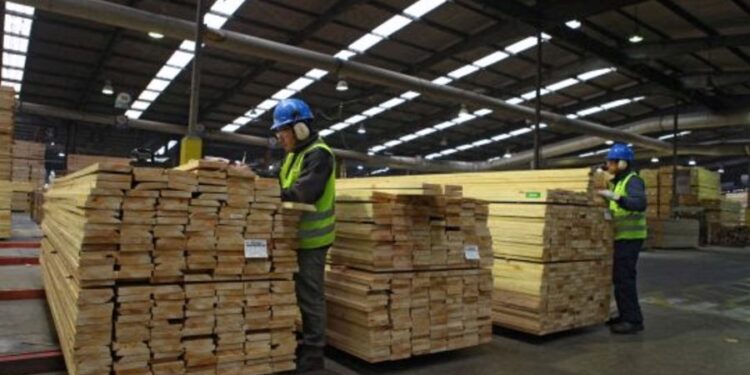 Expo Madera 2025: «El sector forestal va a llegar a ser una pata importante de la mesa de facturación del país»