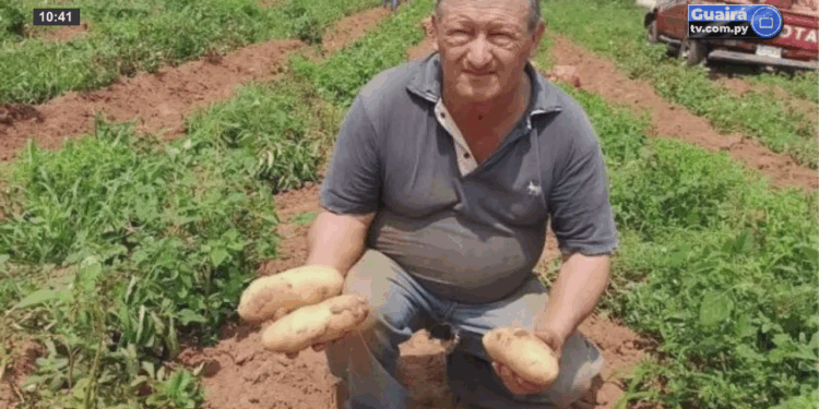 Paperos de Paraguarí están esperanzados en la campaña 2025