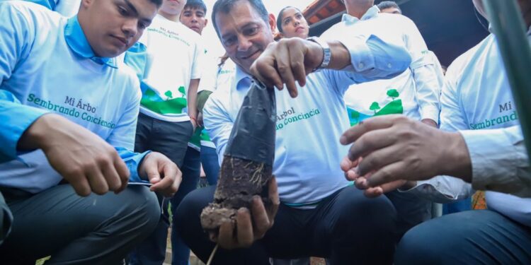 “Sembrando conciencia”: estudiantes y funcionarios del MAG plantarán 10.000 árboles