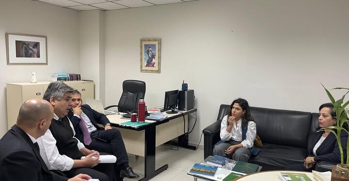 Audiencia con el Director de Medio Ambiente de la Corte Suprema de Justicia, sobre criptominería en Villarrica.