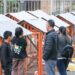 Gobernación entregó hoy pollitos y gallineros a comités y familias
