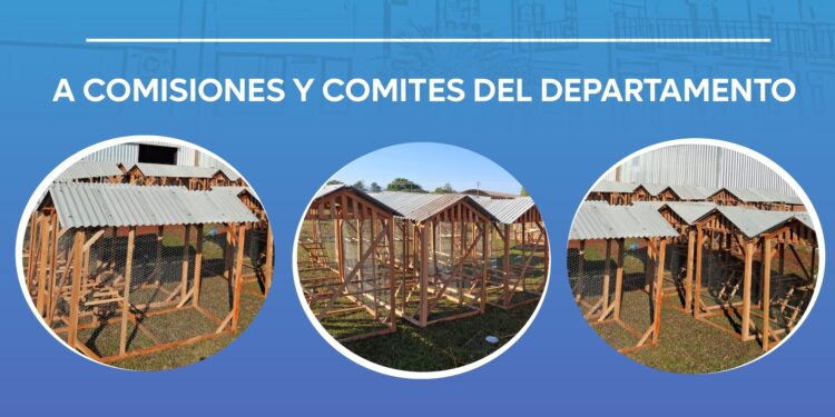Gobernación entregará pollitos y jaulas en Guairá