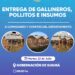 Gobernación entregará pollitos y jaulas en Guairá