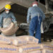 INC despachó cerca de 10 millones de bolsas de cemento en el último año, con un crecimiento del 28%
