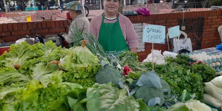 Recaudan más de G. 211 millones en ferias realizadas simultáneamente en San Lorenzo y Asunción