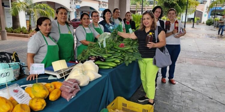 Casi 900 familias serán beneficiadas con ferias de la agricultura familiar de esta semana
