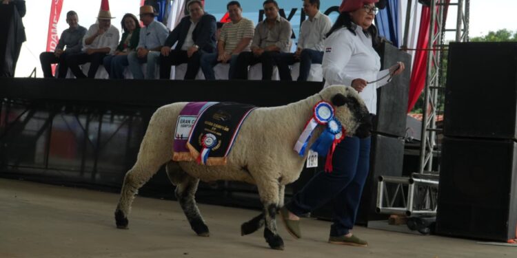 Exitosa edición de la expo Guairá