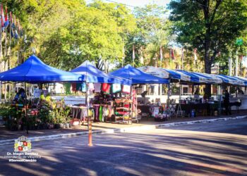 Feria Rosa “Manos que inspiran”
