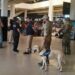 Operativos antidrogas y de seguridad en la Terminal de Ómnibus durante la final de copa