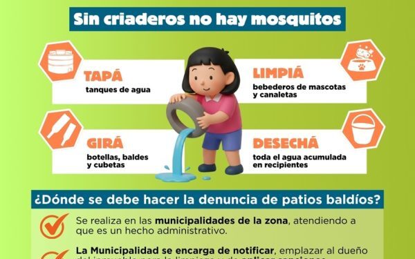 Dengue: leve aumento de notificaciones en 14 regiones del país