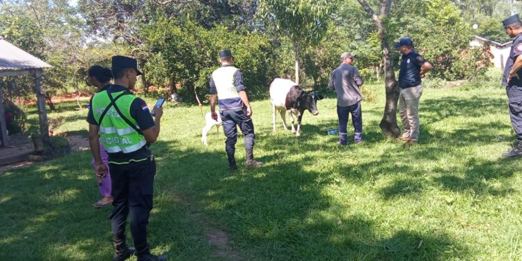 Policía recupera animal hurtado, y se produjeron varias aprehensiones en Guairá