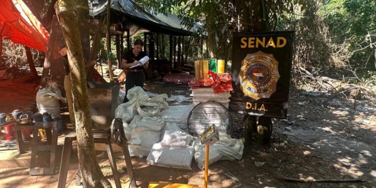 Desmantelan puesto clandestino de marihuana que funcionaba en comunidad indígena de San Pedro