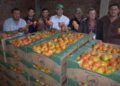 Productores de Caaguazú reiniciaron exportación de tomates con envío de 90.000 kilos a la Argentina