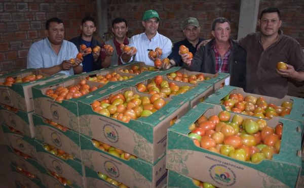 Productores de Caaguazú reiniciaron exportación de tomates con envío de 90.000 kilos a la Argentina