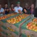 Exportación de tomate a la Argentina se aproxima a los 100.000 kilos y apuntan a replicar exitosa campaña anterior