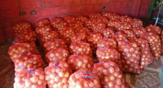 Productores de Caazapá concretan exitosa comercialización de cebolla en el Mercado de Abasto